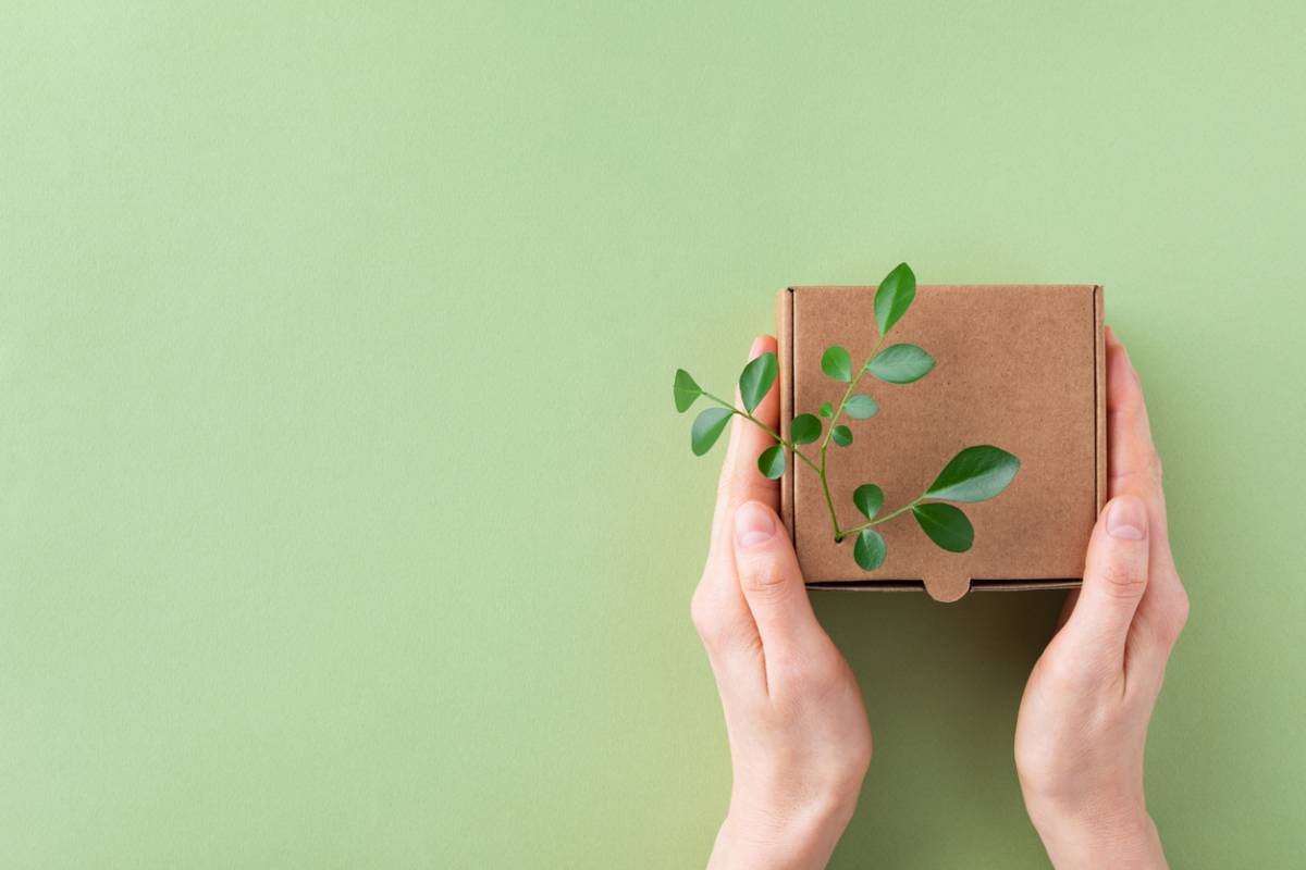 cadeau entreprise écoresponsable